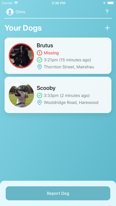 Screenshot #1 pour Doggone - Reuniting lost dogs