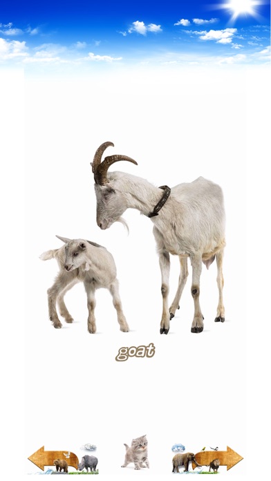 Amazing Animal Sounds Screenshot