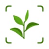 My Plants: AI Identifier icon