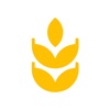 TrigoFi icon