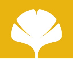 金汇金融