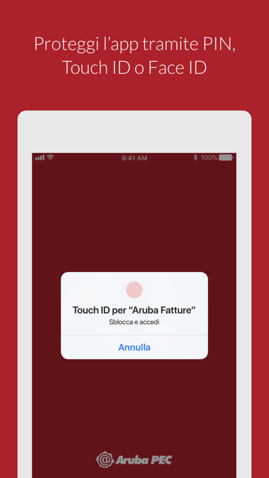 Aruba Fatturazione Elettronica Screenshot