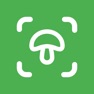 Get Mushroom Identifier - Mushby for iOS, iPhone, iPad Aso Report