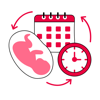 Gestational Age Calculator App - Ahmad Al Hariri