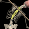 Posture by Muscle & Motion - Muscle & Motion LTD