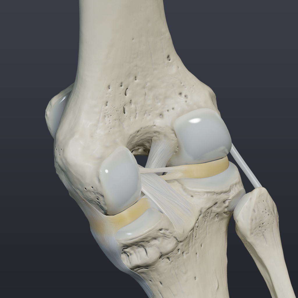 Get Knee Biomechanics for iOS, iPhone, iPad Aso Report