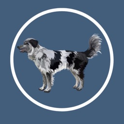 Canine Health Hub