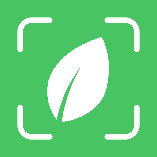 Plantyx: определитель растений