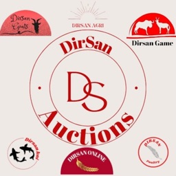 Dirsan Auctions