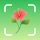 Plant Identifier: PlantScope