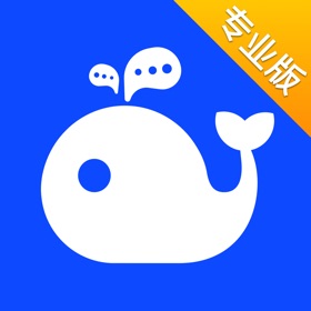 螢幕擷取畫面 (3) WorkPlus SE专业版