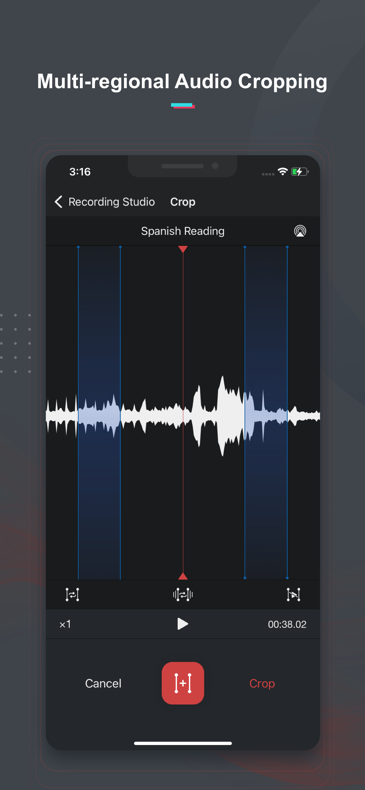 Voice Recorder & Notes Pro