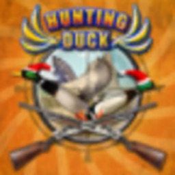Chasse au canard