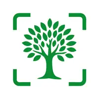 Tree Identifier: Tree Details