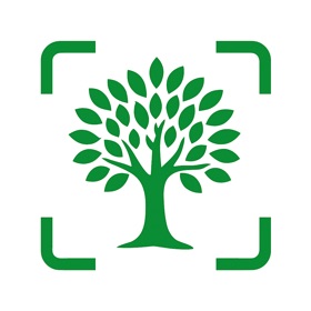 Tree Identifier: Tree Details