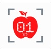 FruitScout Mobile v2 icon