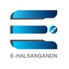 e-Halsangandn icon