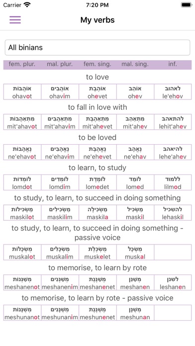 All Hebrew Verbs Guide Screenshot