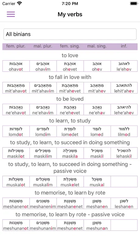 All Hebrew Verbs Guide