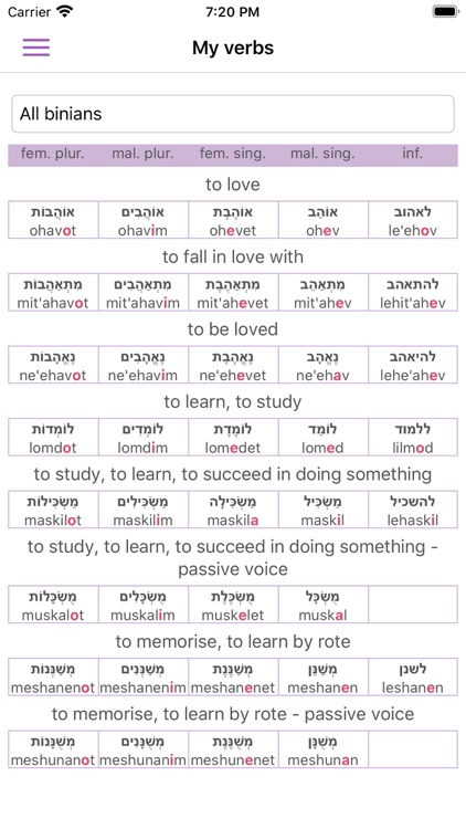 All Hebrew Verbs Guide screenshot-5