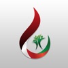National Subsidy System - NSS icon