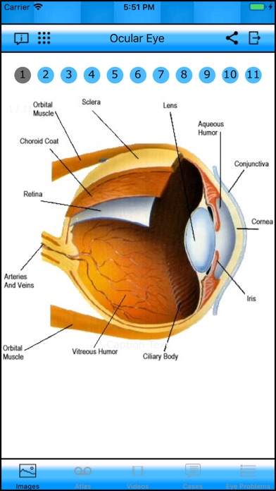 Ocular Eye iPhone screenshot