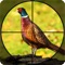 Welcome to the most actual Pheasant Bow Hunting Safari: Birds Shooting Game 18 on apple apps Store