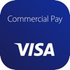 Visa Commercial Pay icon