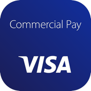 Visa Commercial Pay