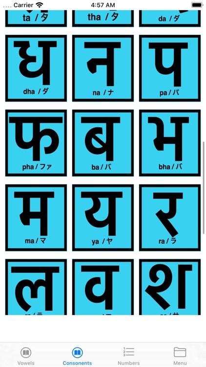 Nepali Phrase screenshot-3