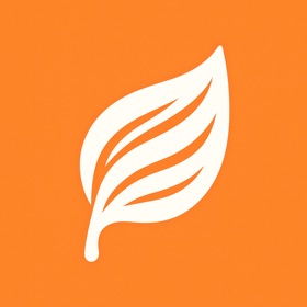 Leaf.