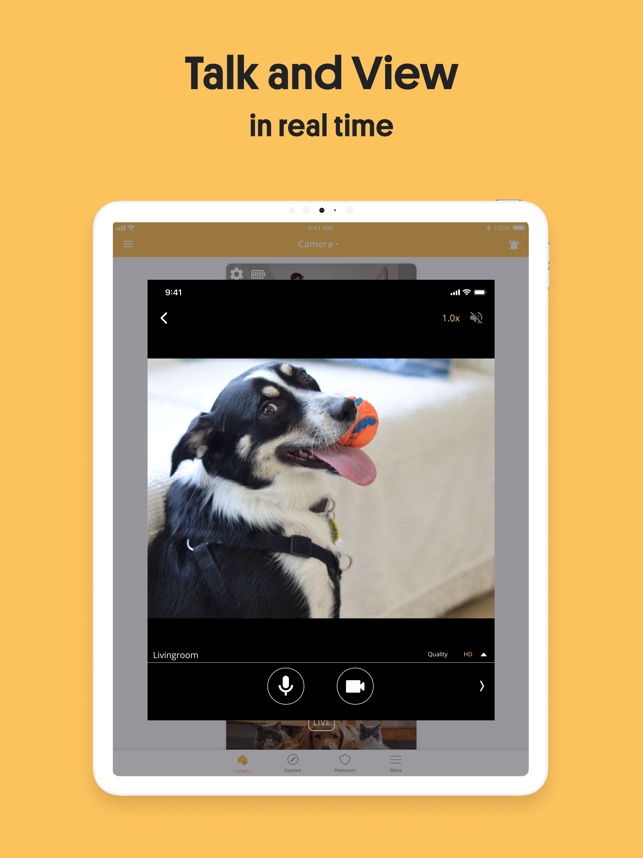 AlfredCamera: Home Security on the App Store