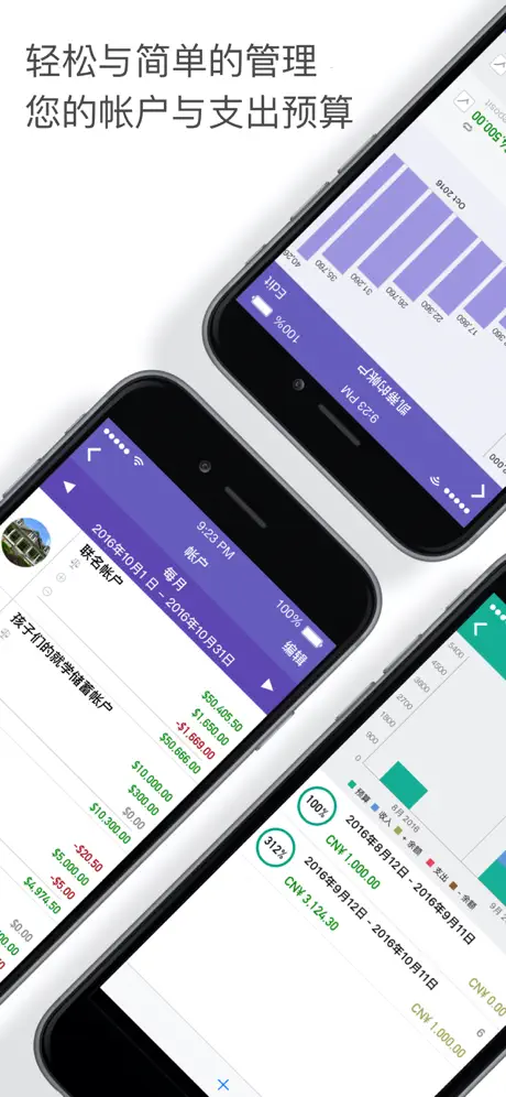 iXpenseIt Pro: 管理财务