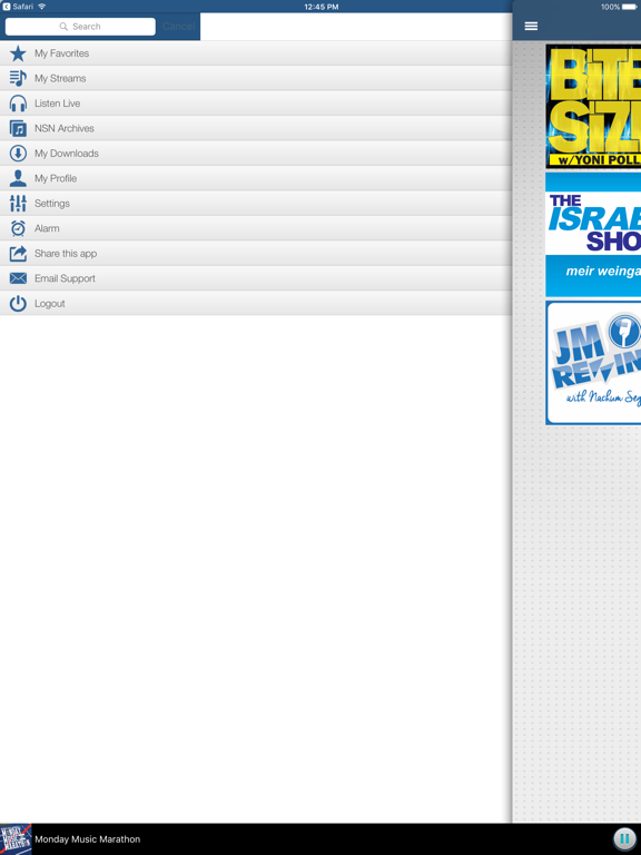 Nachum Segal Network iPad screenshot 5 - Music app