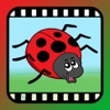 Video Touch: Bugs icon