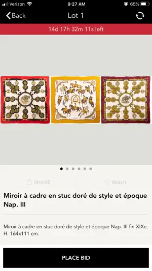 DognyAuction screenshot 4
