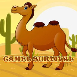 CamelSurvival