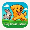 Dog Chase Rabbit icon