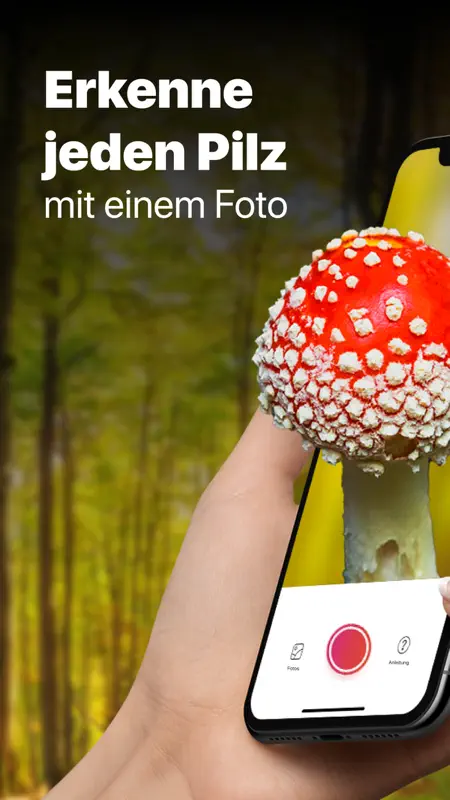 Picture Mushroom: Identifier screenshot 1 of 5