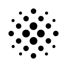 Vera: Offline AI