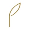 Prosperova icon