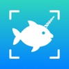 Fish Identifier - AI ID Verify