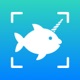 Fish Identifier - AI ID Verify app icon - Education app for iPhone
