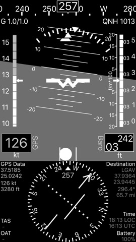 A-EFIS Black and Whiteのおすすめ画像1