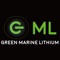 The app's main feature is to monitor the details of the Green Marine Lithium batteries