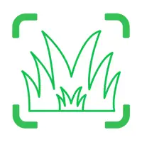Grass Identifier: Lawn Care