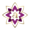 Amrit Gold icon