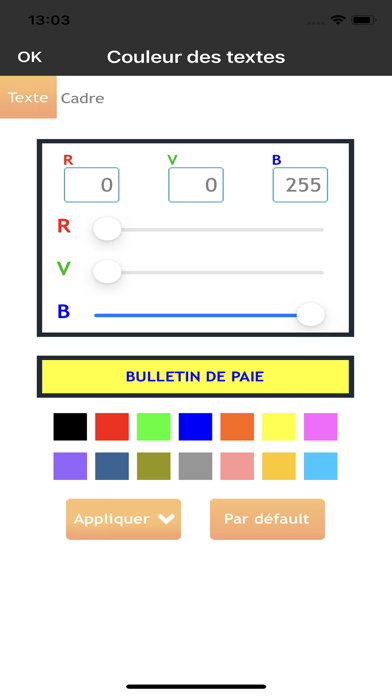 BULLETIN DE SALAIRE Screenshot