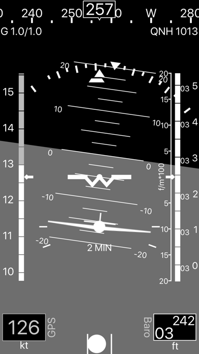 A-EFIS Black and White Screenshot