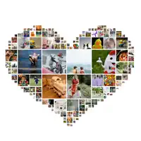Shape Collage Maker Unlimited
